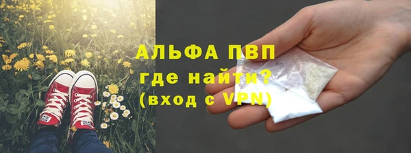 PSILOCYBIN Балахна