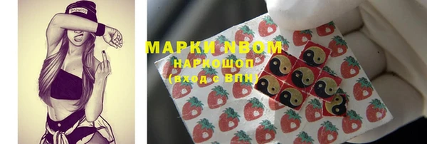 spice Бородино