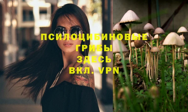 кокаин колумбия Белокуриха