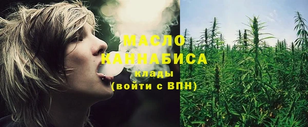 крисы Богородицк