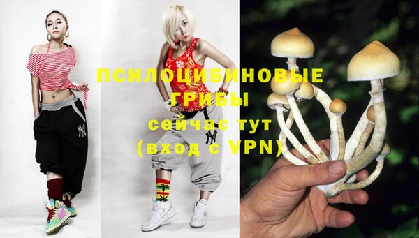 ECSTASY Белоозёрский