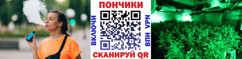 Шишки марихуана семена  Кизел 